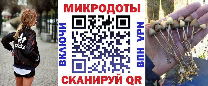 Псилоцибиновые грибы Psilocybe  кракен онион  Вичуга 